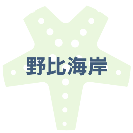 野比海岸の調査報告